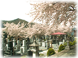 山寺霊園墓地